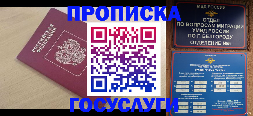 прописка законно в Северске